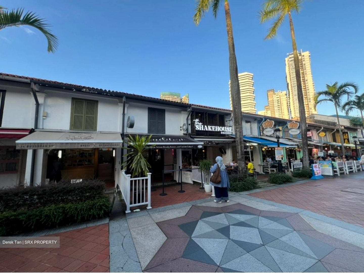 Kampong Glam Conservation Area (D7), Shop House #580114541